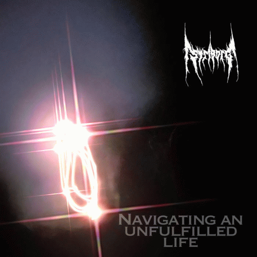 Striborg : Navigating an Unfulfilled Life